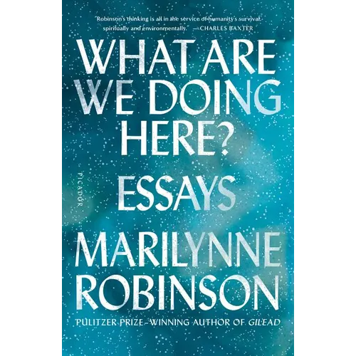 What Are We Doing Here?: Essays