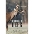 Whitetail Deer Facts and Strategies
