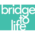 Bridge to Life (Green) 25-Pack