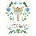 Flower Fairies of the Winter