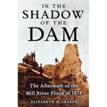 In the Shadow of the Dam: The Aftermath of the Mill River Flood of 1874