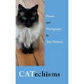 CATechisms