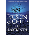 Blue Labyrinth