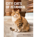 City Cats of Istanbul