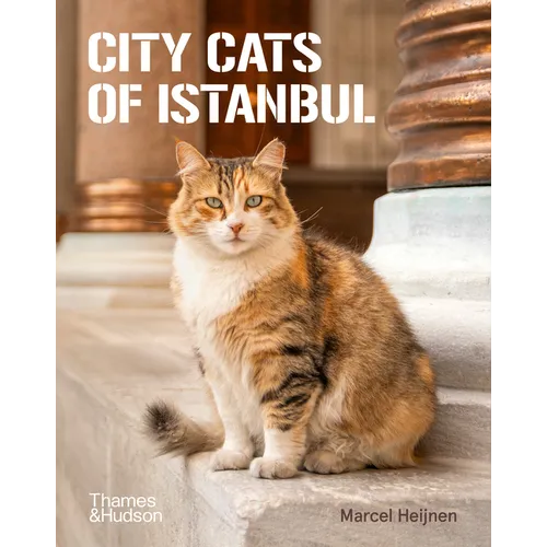City Cats of Istanbul