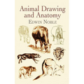 Animal Drawing and Anatomy