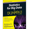 Statistics for Big Data for Dummies