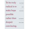 Culture and Politics: Class, Writing, Socialism