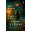 The Journey of the Foolish Soul Esoteric Poetry