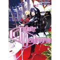Infinite Dendrogram: Volume 3 (Light Novel)