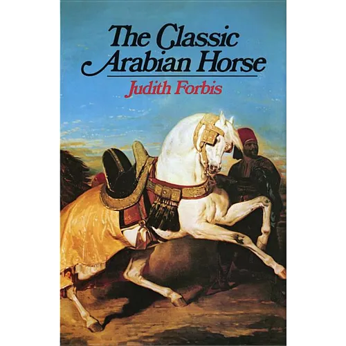 Classic Arabian Horse