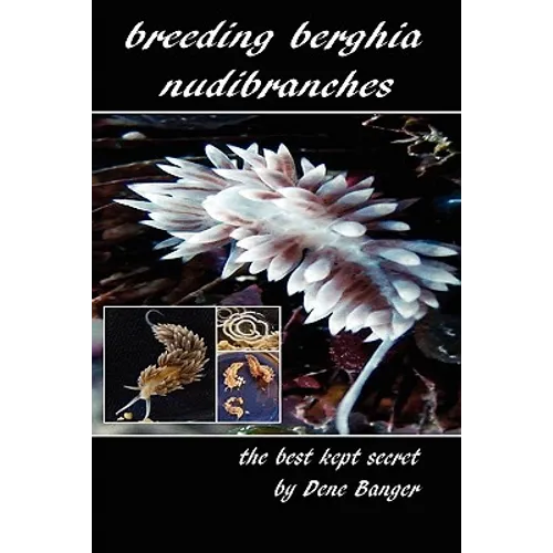 Breeding Berghia Nudibranches the best kept secret