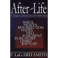 After Life: A Glimpse of Eternity Beyond Death's Door