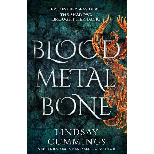 Blood Metal Bone