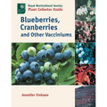 Blueberries, Cranberries and Other Vacciniums