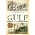 The Gulf: The Making of an American Sea