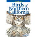 Birds of Northern California