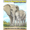 Easy to Read Dot-to-Dots: Large Print Puzzles from 303 to 563 Dots