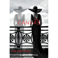The Canvas: The Big Picture Trilogy