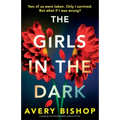 The Girls in the Dark: A gripping and unputdownable suspense thriller