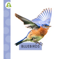 Bluebirds
