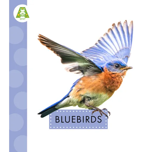 Bluebirds