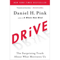 Drive: The Surprising Truth about What Motivates Us