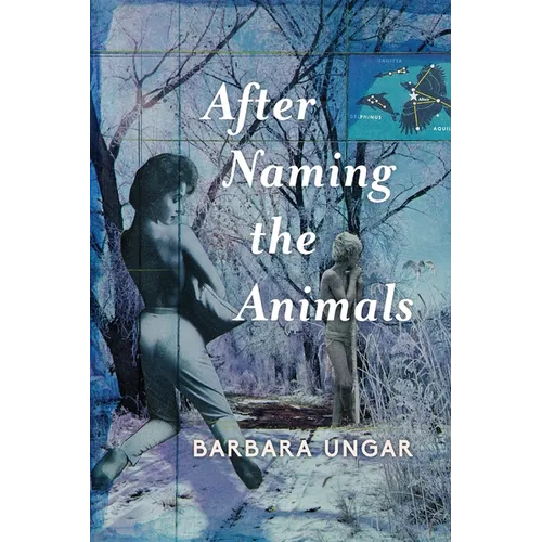 After Naming the Animals