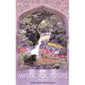 In the Mystic Footsteps of Saints, Vol. 2