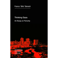 Thinking Gaza: An Essay on Ferocity