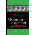Grace Abounding To The Chief Of Sinners: Pathways To The Past