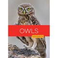Owls
