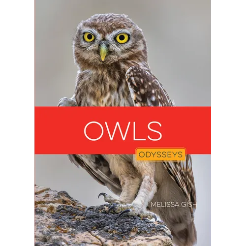 Owls