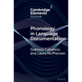 Phonology in Language Documentation