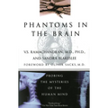 Phantoms in the Brain