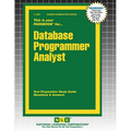 Database Programmer Analyst