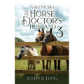 Adventures of the Horse Doctor's Husband 3