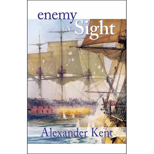 Enemy in Sight!
