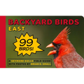 Backyard Birds East