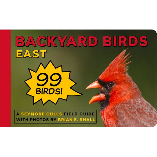 Backyard Birds East