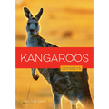 Kangaroos