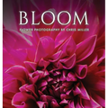 Bloom: Flower Photography by Chris Miller