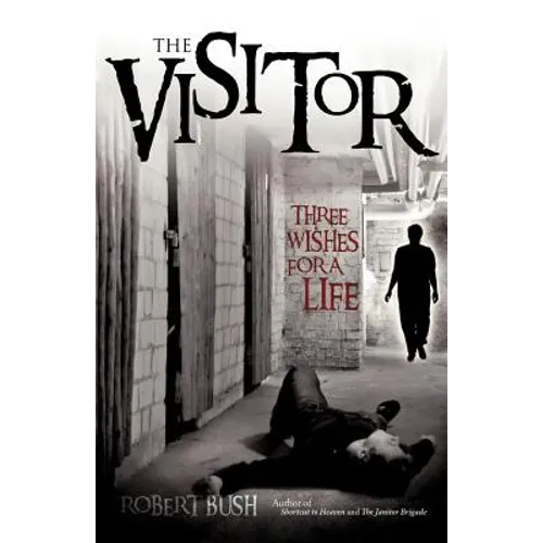 The Visitor