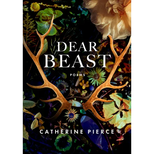 Dear Beast