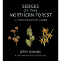 Sedges of the Northern Forest: A Photographic Guide