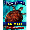 Fantastic Animals: Picture Book Gift for Adults, Seniors and People with Alzheimer's & Dementia. Dementia Activities for Seniors Book.