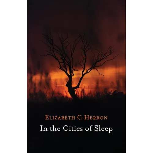In the Cities of Sleep