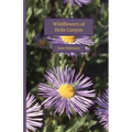 Wildflowers of Hells Canyon
