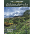 A Walk in an Irish Garden: For Flute and Piano