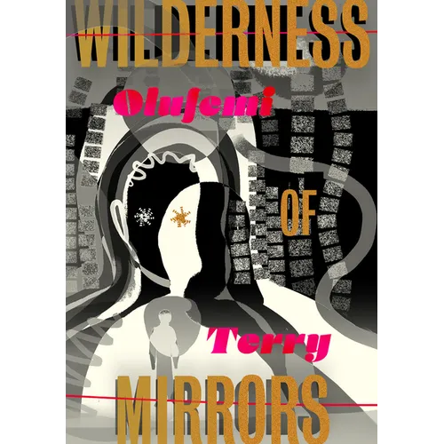 Wilderness of Mirrors